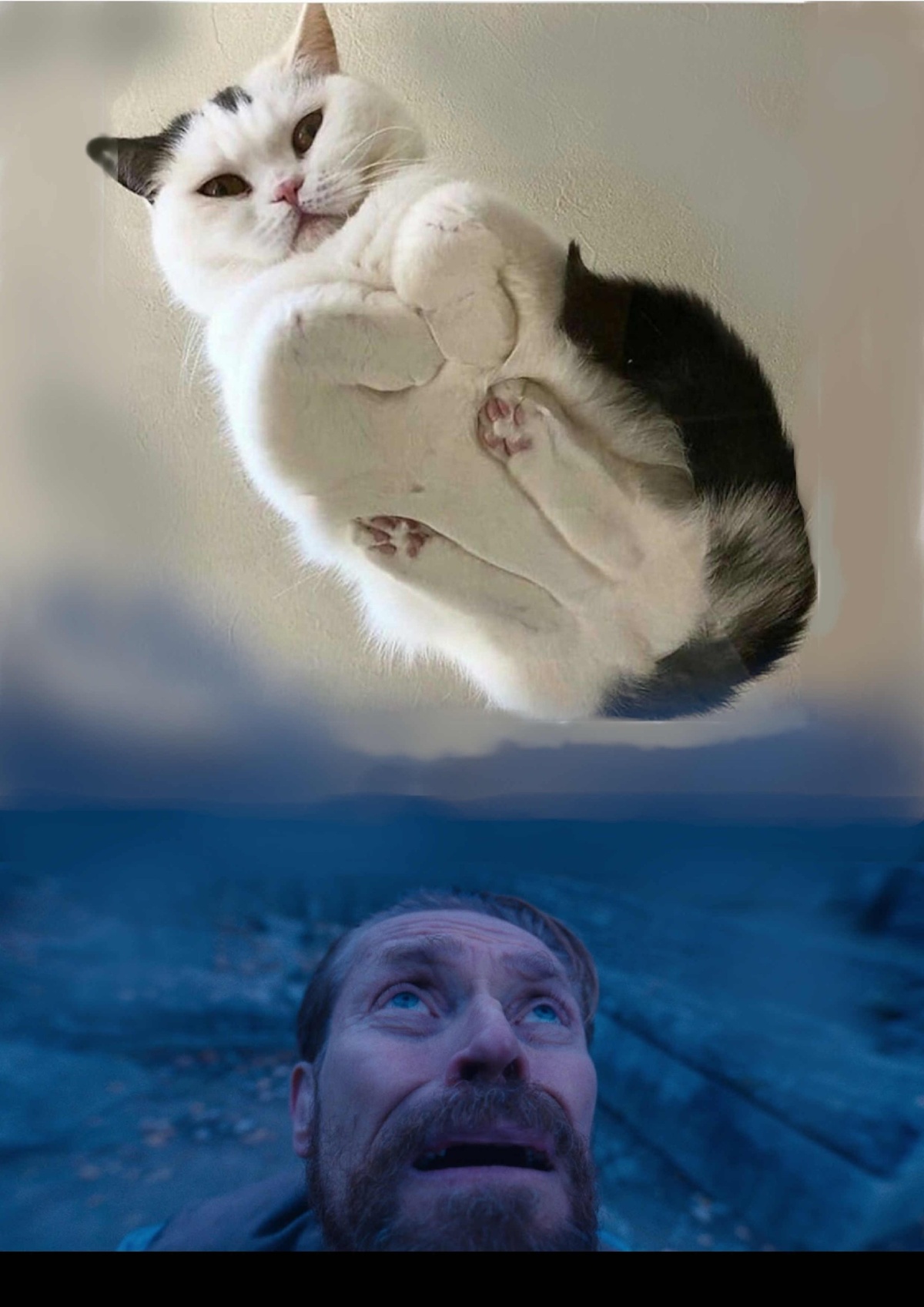 73882ecf-6163-4306-ab72-6f2621b0c276