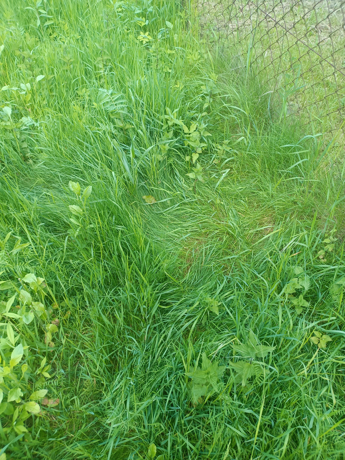 8897f506-00c4-4582-a47d-adff399b229f