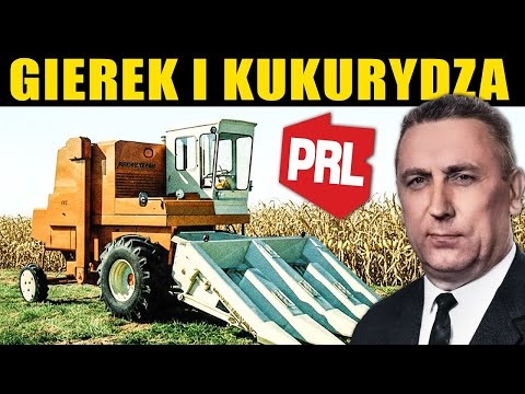 Gierek, kukurydza i francuskie kombajny Rivierre Casalis w PGR