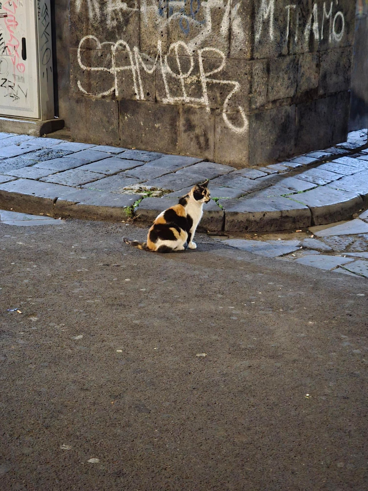 09bce89f-ffa8-4d5d-9f89-bbe0dc469160