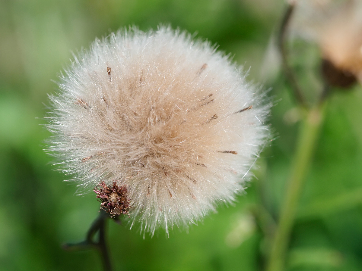 8ba3c299-419e-46a2-9e68-3b673f3c1d72