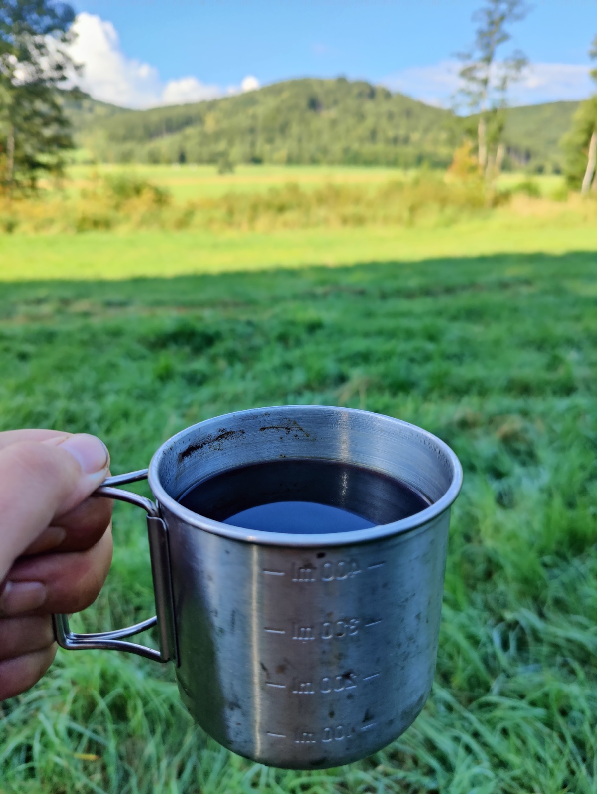 d9efed8b-1671-48c7-8847-8dc7b59ff855