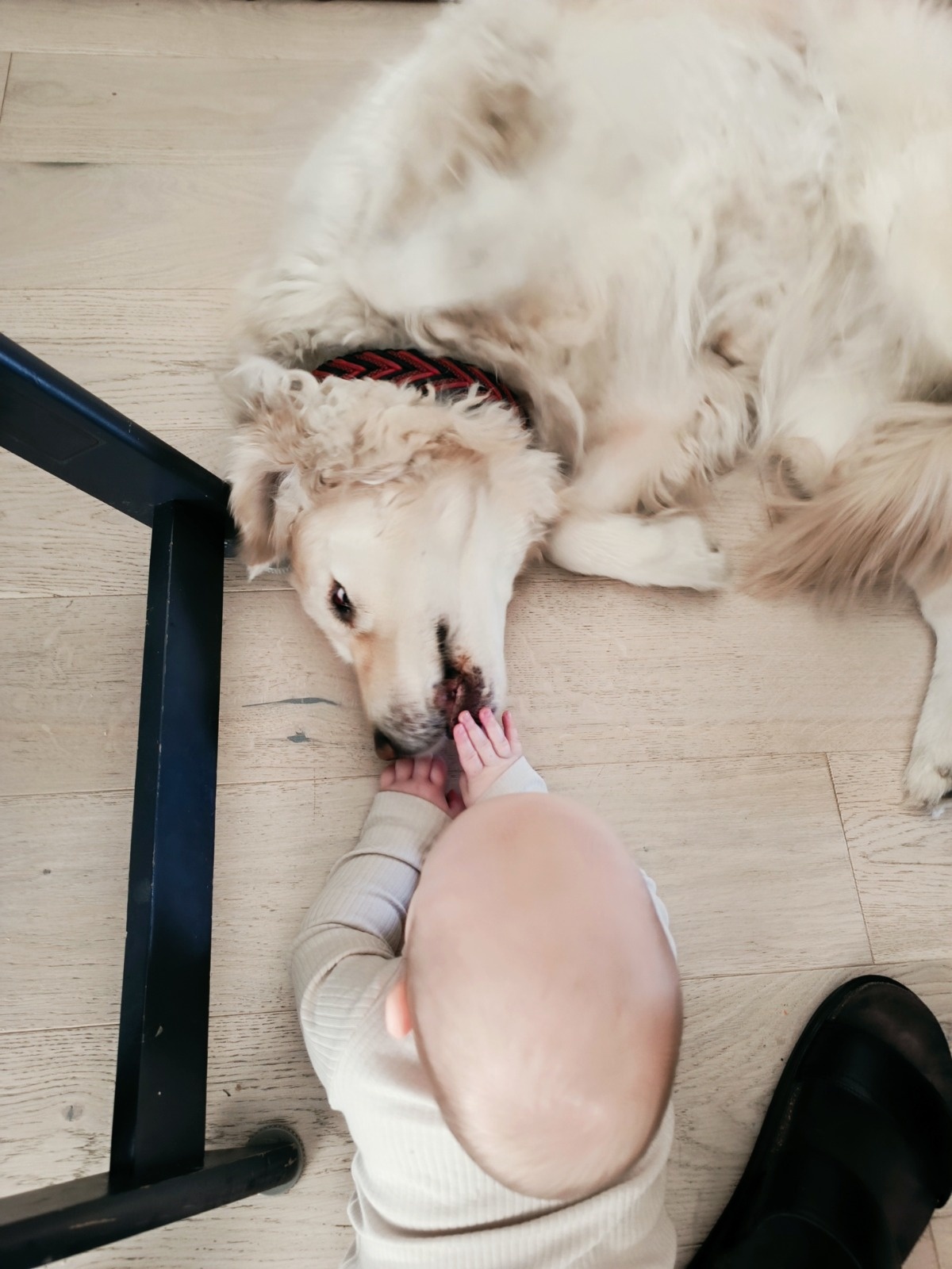 4c0989aa-91e4-4bb2-886e-3753a5552f07