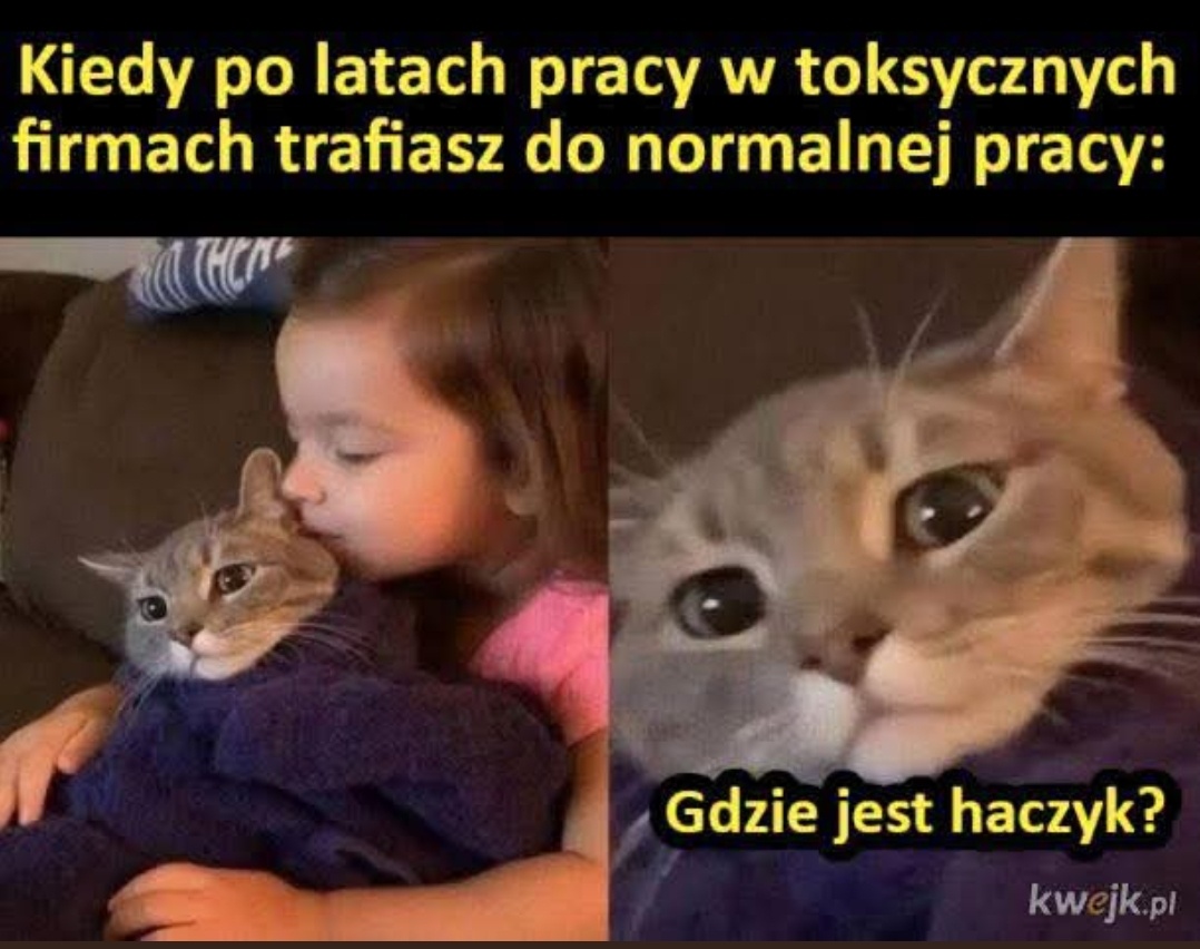 40ead35b-a2a1-4558-b787-3c30d355f796