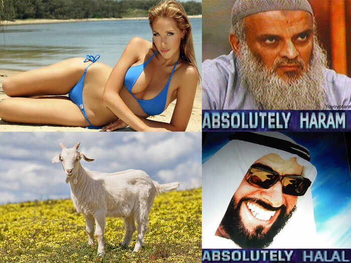 efe92c70-ebfc-439a-afea-ec74a83b1951