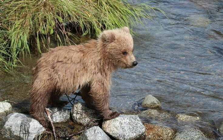 00ea0363-2575-4902-96f6-8610ef23899b