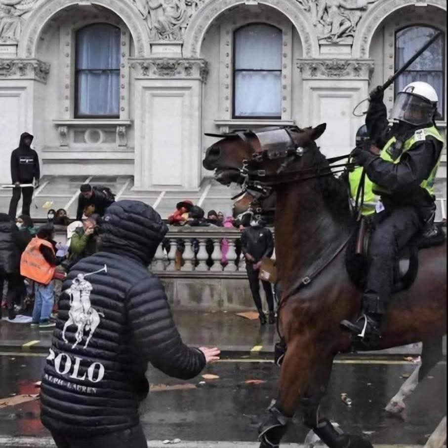 2460b83d-e470-449f-87a2-8813d805191c