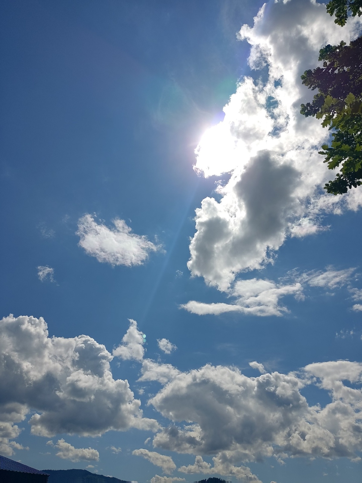 5a32ccb0-3143-4592-9b5f-93f01ed06da7