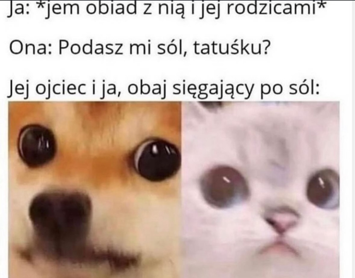 f20ee4e7-3fd3-4adb-ad1a-a53b673e2d5d