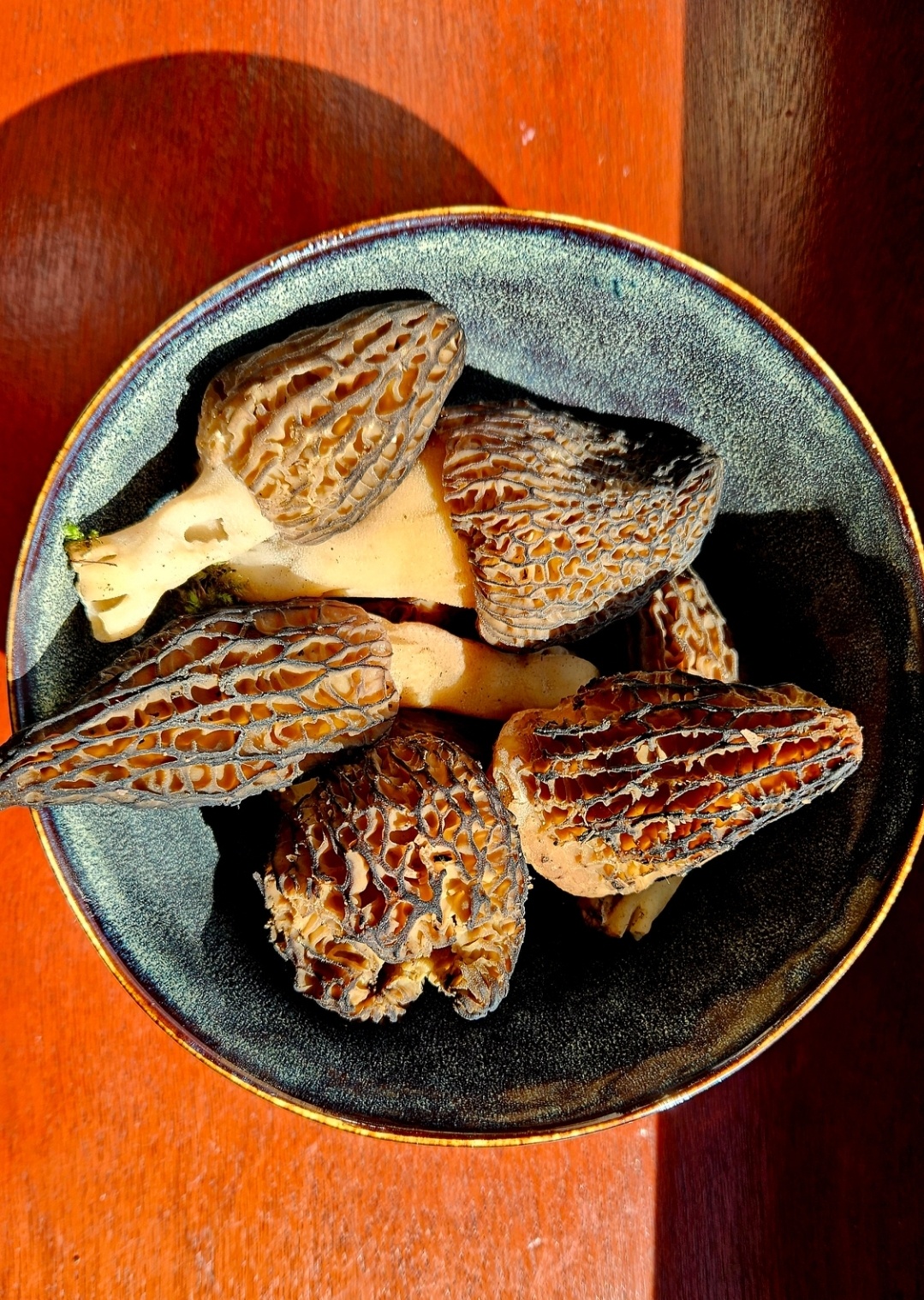 f33a9141-b7b0-4058-be20-99805b1c32a7