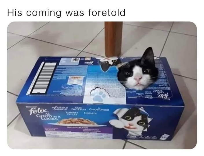 ce02abbc-19e8-4f0b-8de4-9d5956e30911