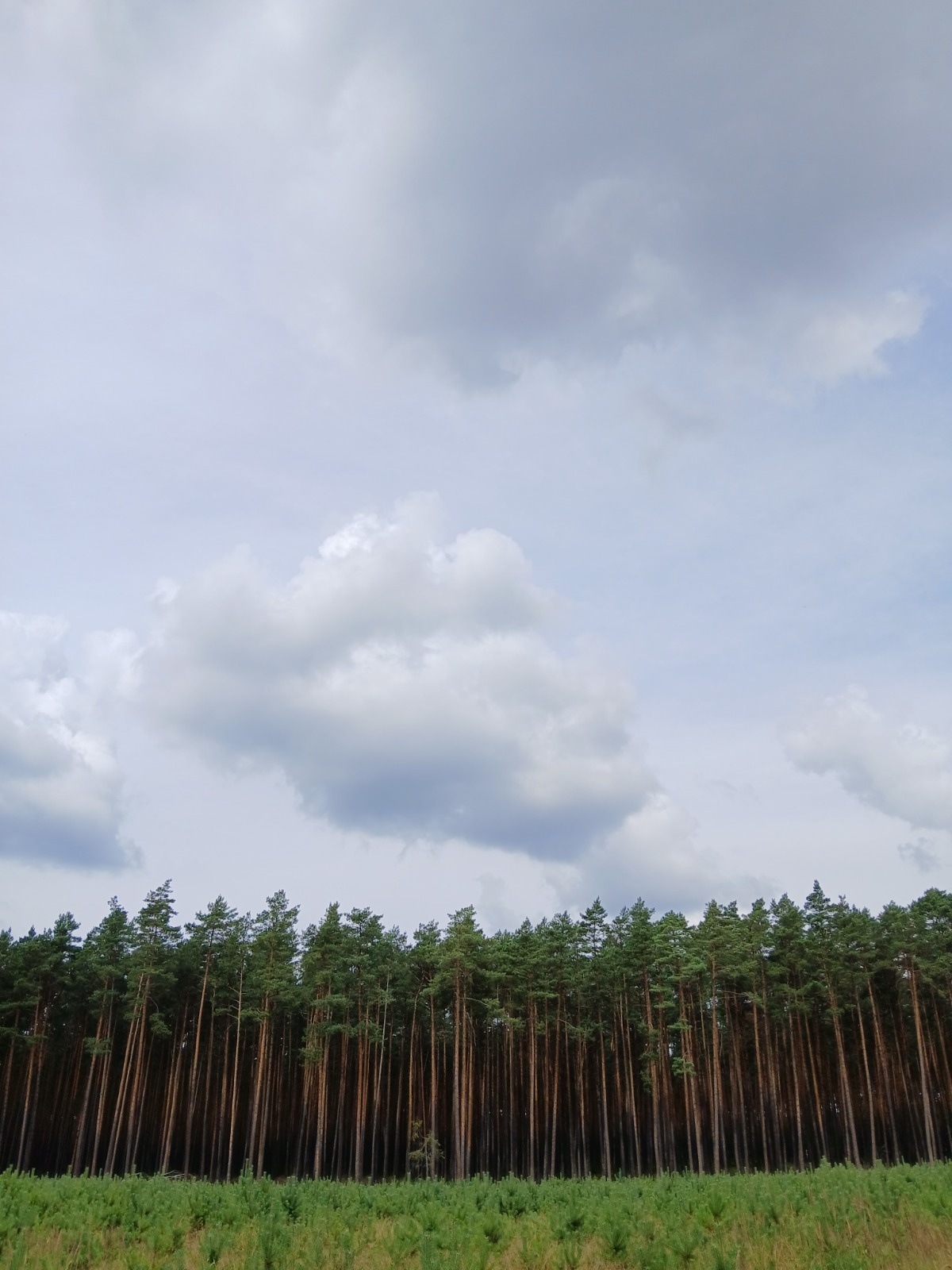 78594c72-11ce-4871-85f3-eff96a4ec8d8