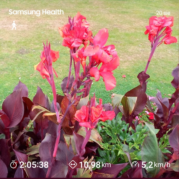 130e2cbf-299e-4d72-a4ea-f17c7a631028