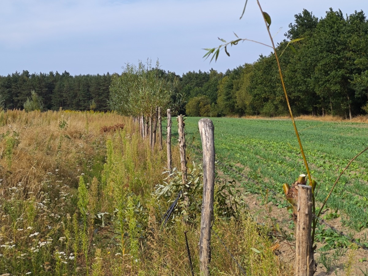 0116ca05-648c-4ef8-84a8-40b3a60b4517