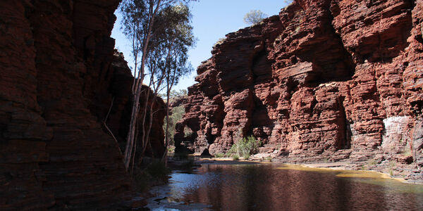 Australia: Stan nie otworzy granic, dopóki 80 proc. nie przyjmie trzeciej dawki