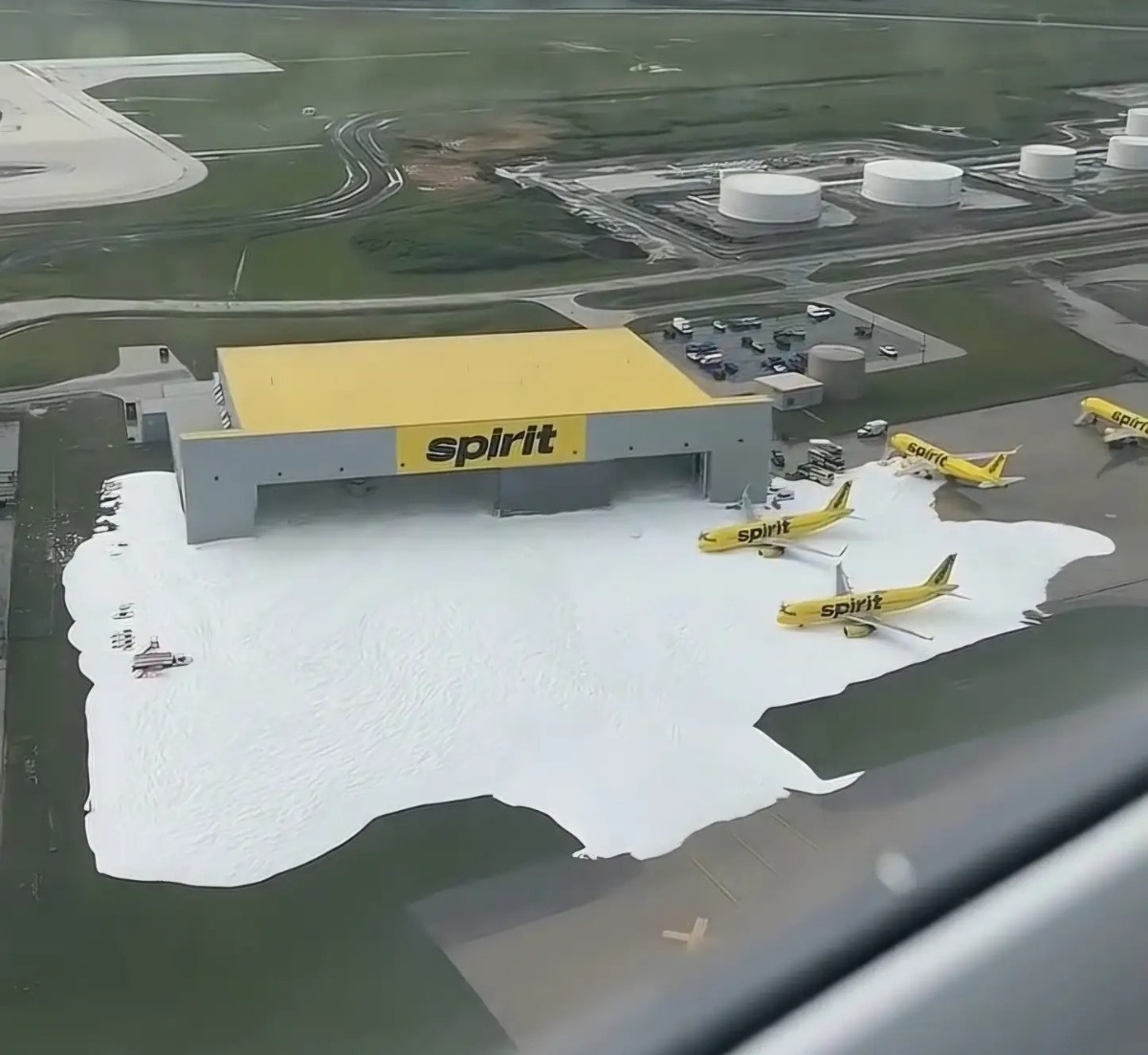 013687d4-e3d8-4f85-913f-167894a4ad61