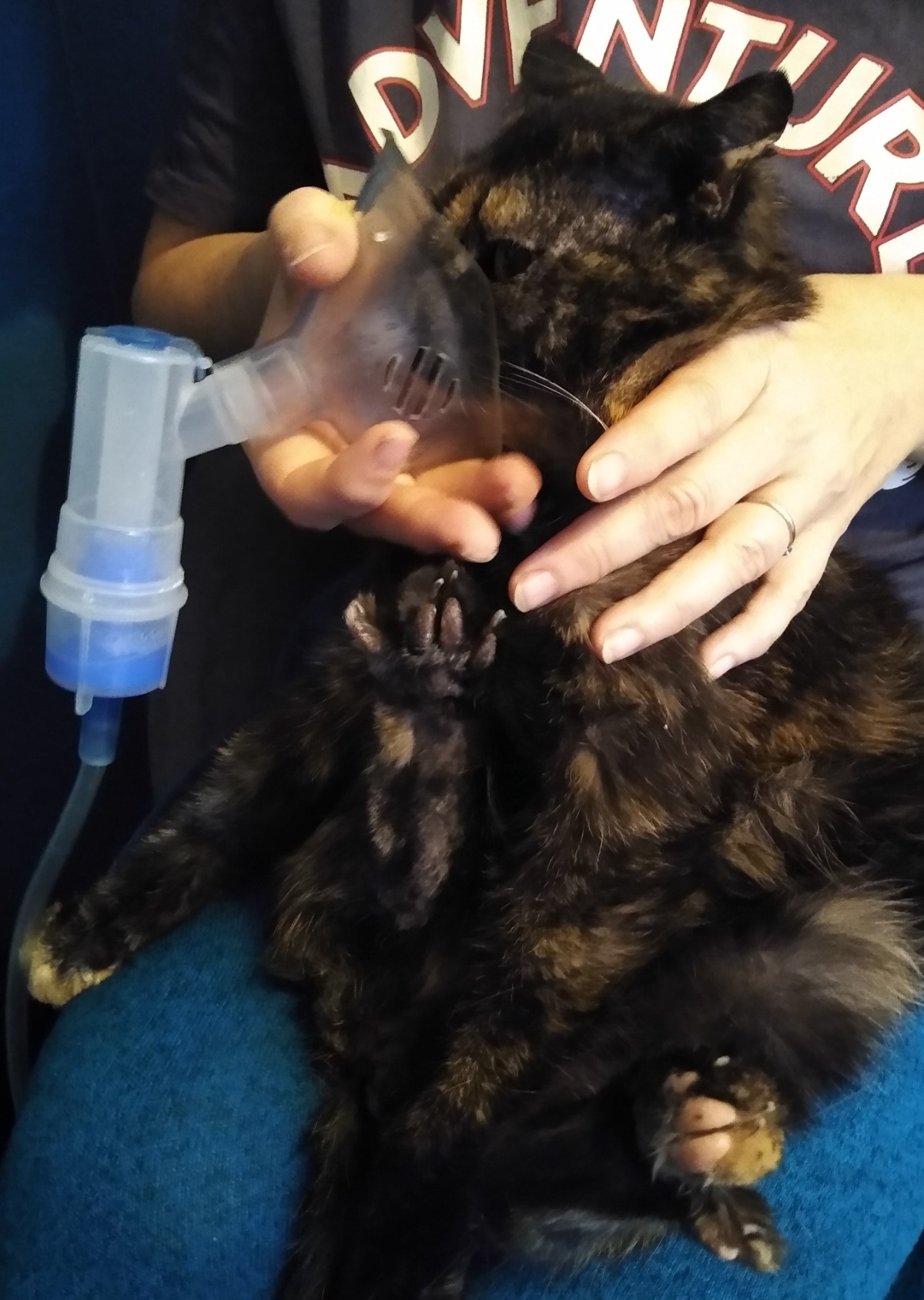 a25bb04a-5e9b-42ff-9739-3914e427cd72