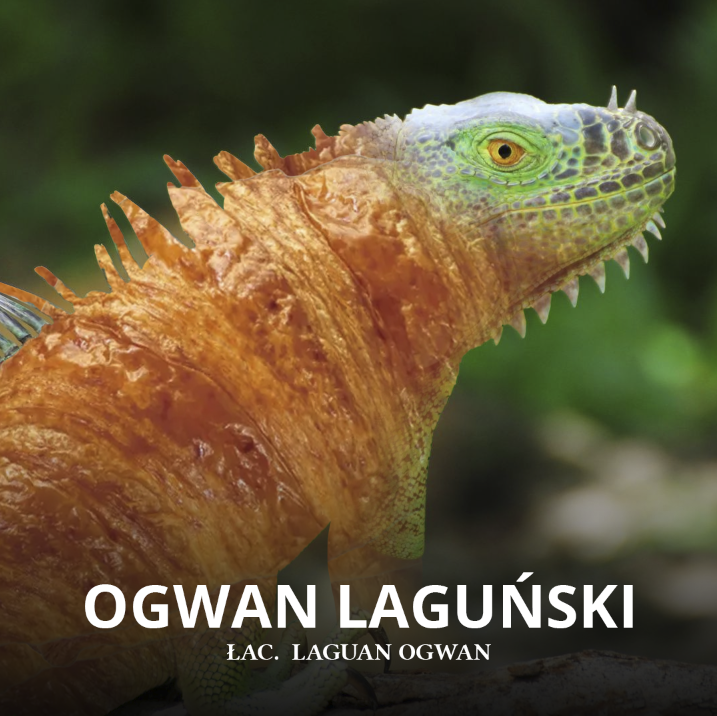 bf255ed2-0ef3-48e2-a368-4c89b6c97eb6