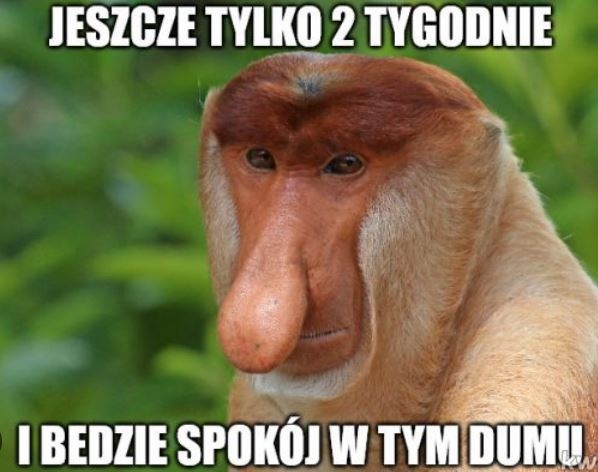 c26e7b5f-f933-46d7-91c0-d20c0fdb9da6