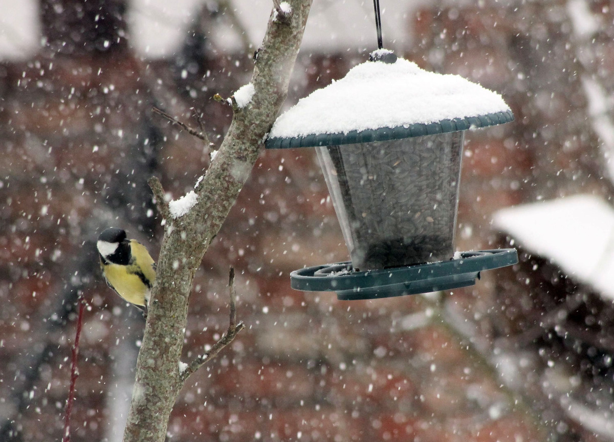 a57a176e-8bc3-4960-880f-e85e1273d81f