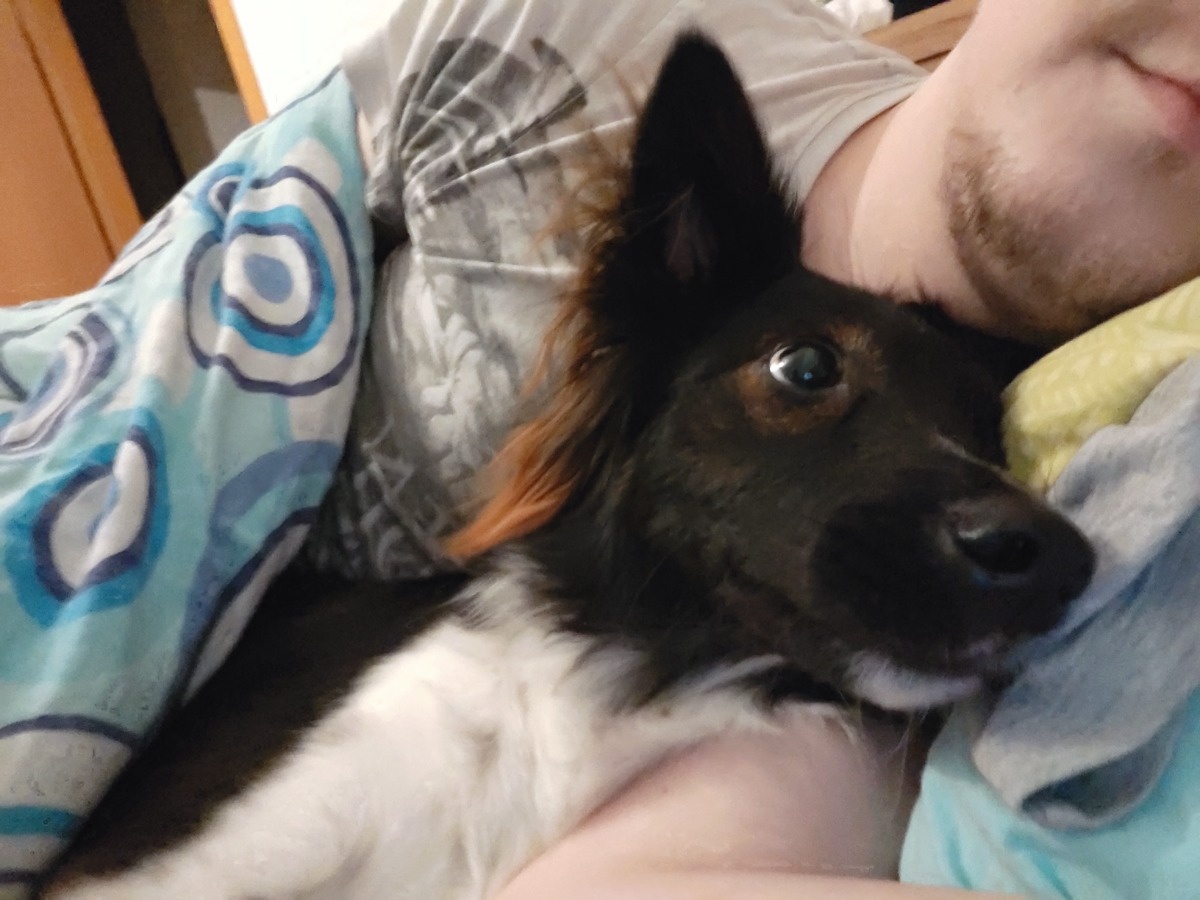 8a01d723-2303-498d-aad9-19bc4273bb5d