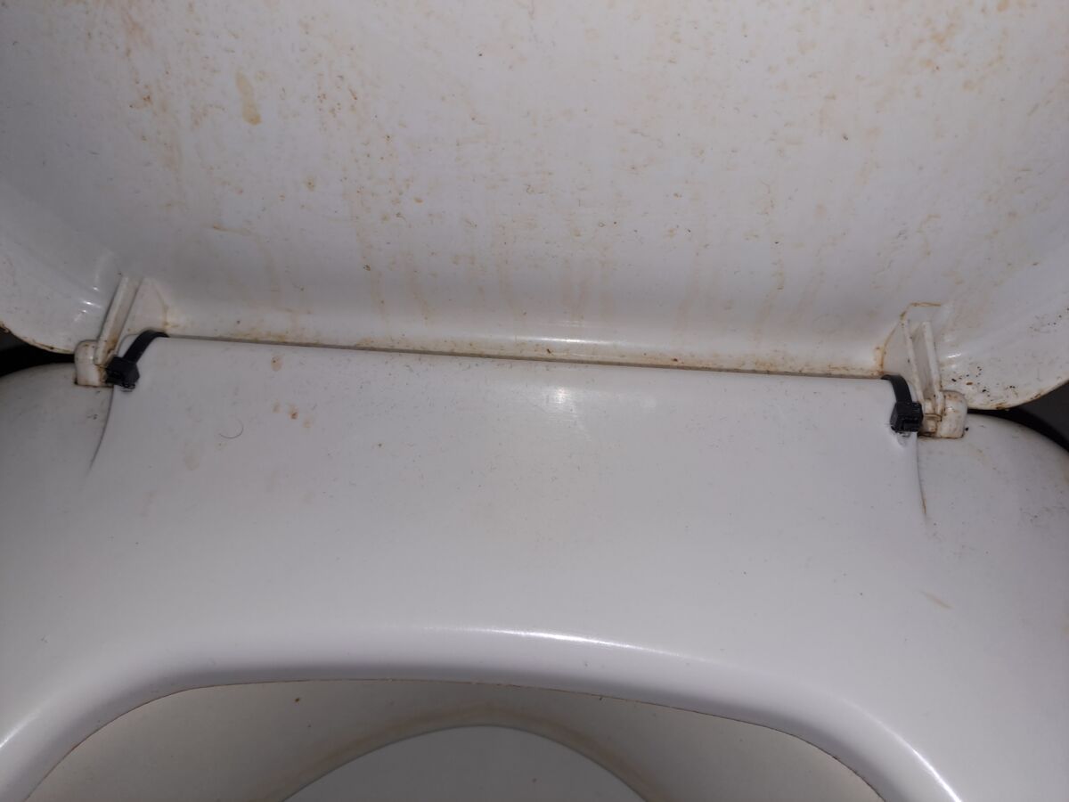 11d7c6eb-0289-4826-bc55-951f34603bcc