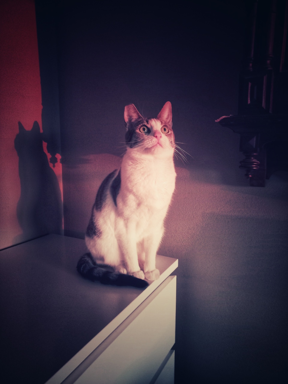 995b5604-1e36-4708-b54c-5c478804c0b5