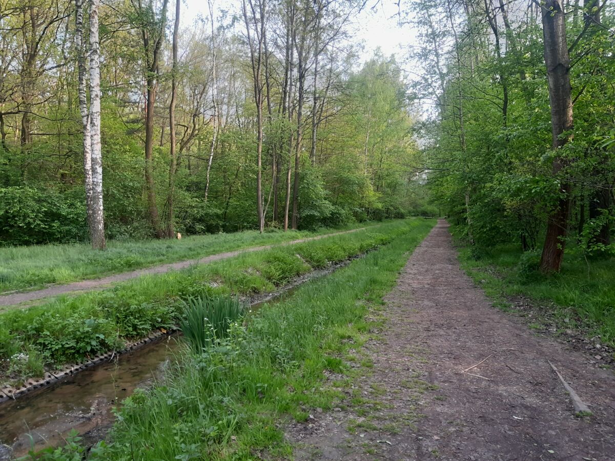 c011814b-d43e-47b2-9928-fd62930b427a