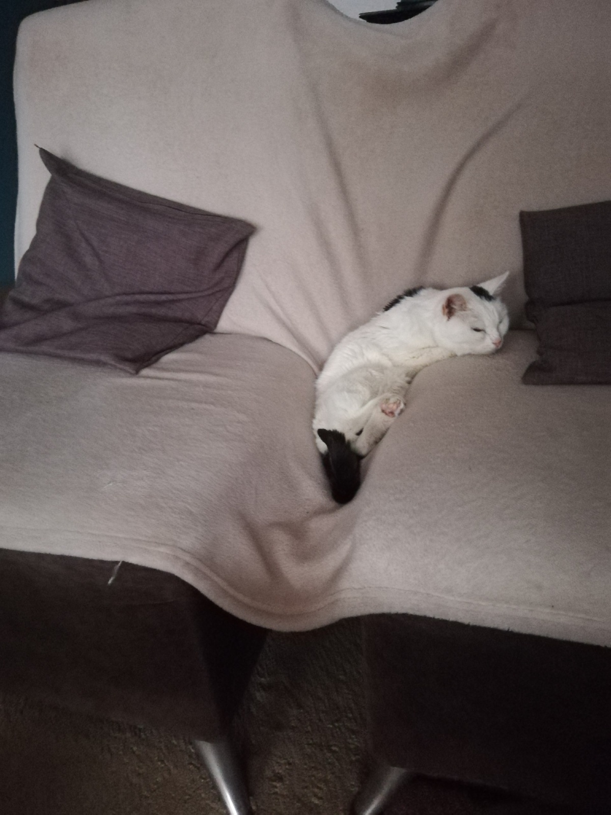 52a86448-6895-4435-a06e-7e5ac02d9da1