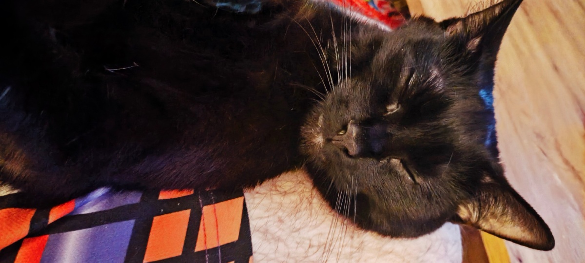 a250ceef-8211-411d-8e8c-91b6ee146403