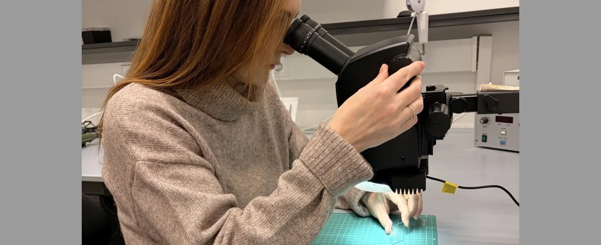 Polski nanokompozyt sam zabija bakterie i wirusy