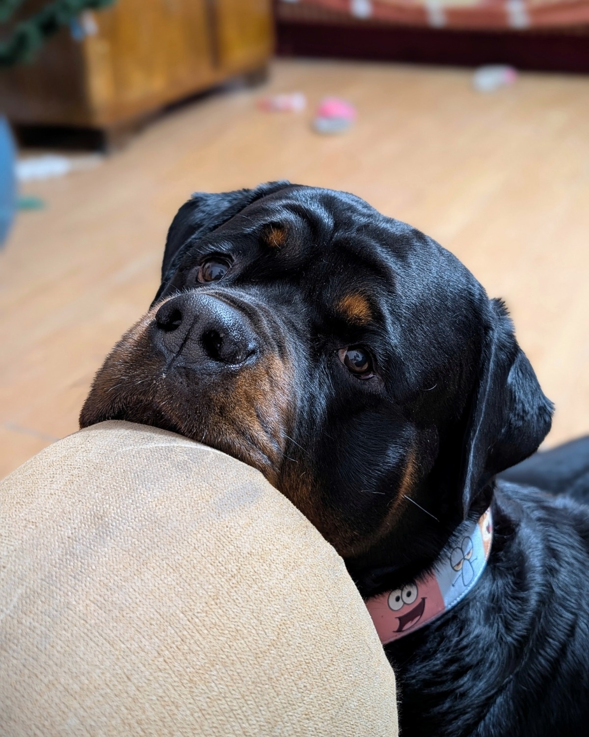 63933980-69b1-4a9c-98ed-623480c04fa5