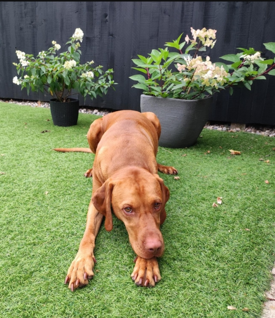 db0b9e7a-cd33-4f5c-810f-86c60a733982