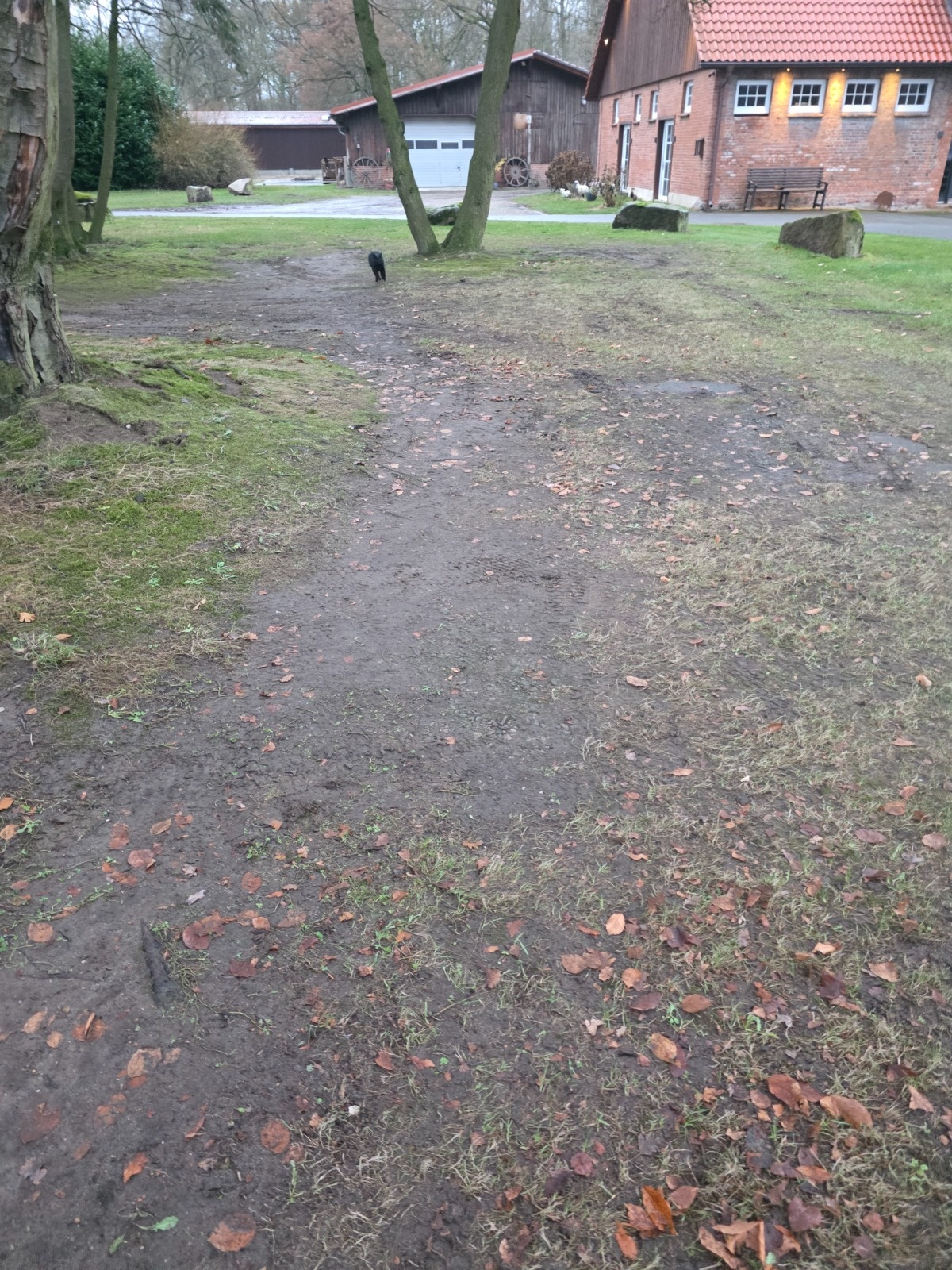 bef52d91-465e-411d-a3b5-07ef01ad77e6