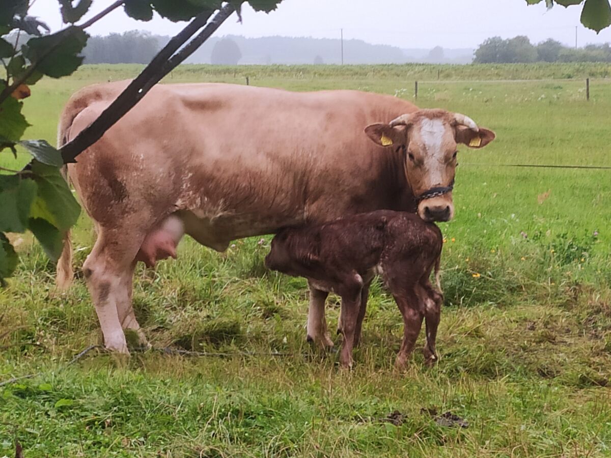 e100220b-e02c-46a0-904d-a0576747043e