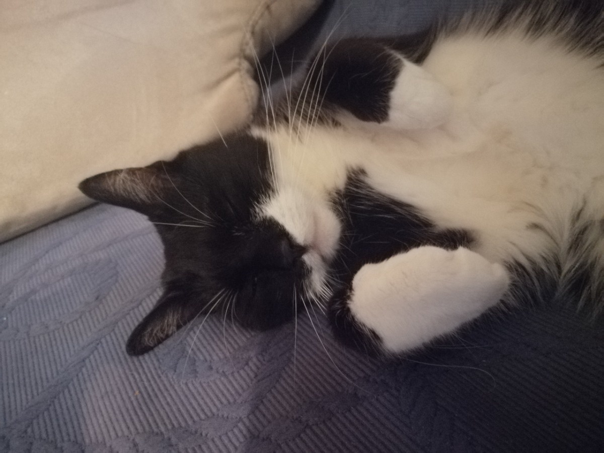 063cf17a-5705-412e-87ca-1e41d7034736