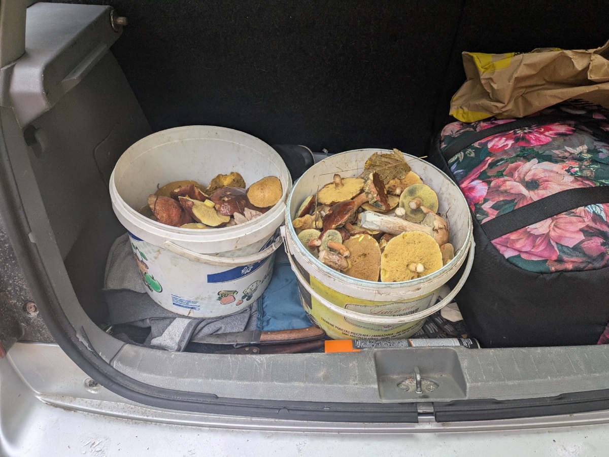 1d13ea04-7368-405d-bf4a-cea303f29d8b