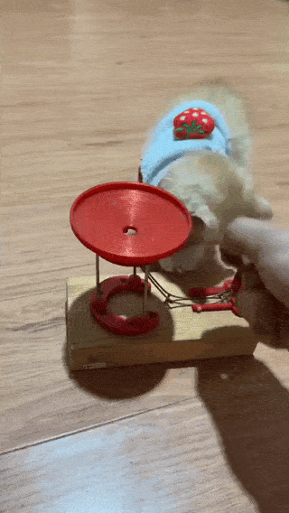 68cdb908-9238-46a1-a862-6571fc3694b8