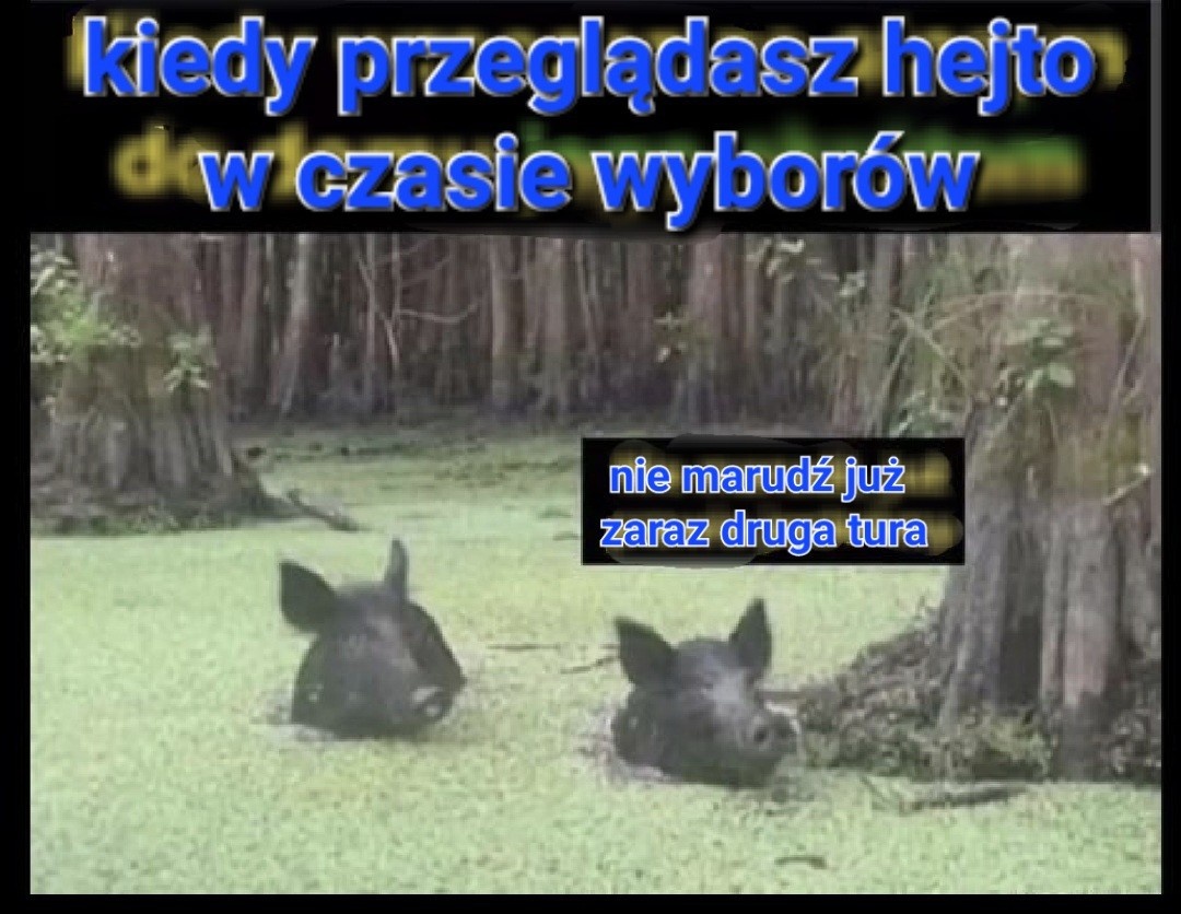 ec09774f-b146-443c-9a5c-47669f433cf8