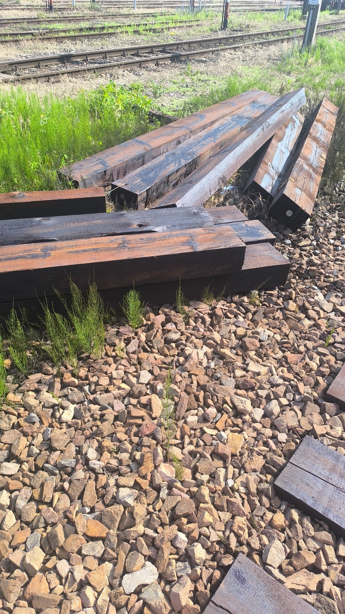 acdeee39-fc2a-4f5a-af5a-7f5e8156244b