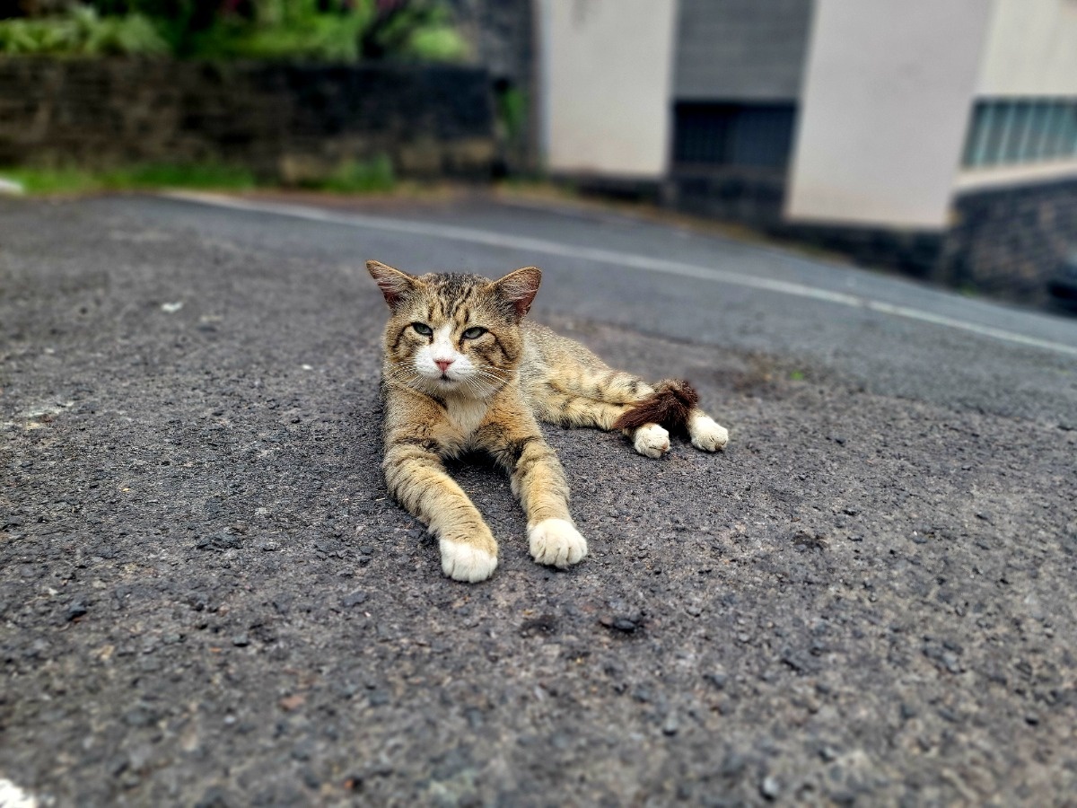 4807a7f2-98e7-44b8-ad29-1420349fbe1d