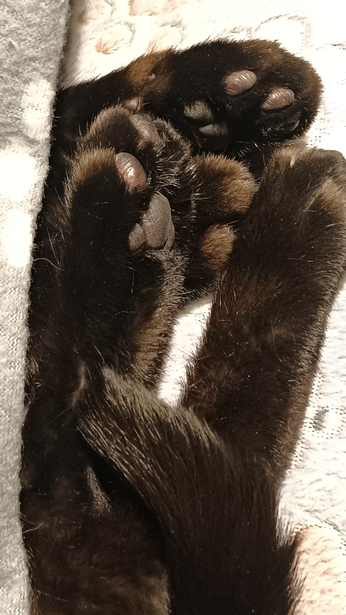 29031dd1-3ac9-47a2-b208-37374b55141a