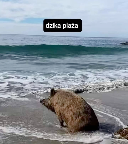 3098821f-5aa0-424d-8c08-4b03011e8a93