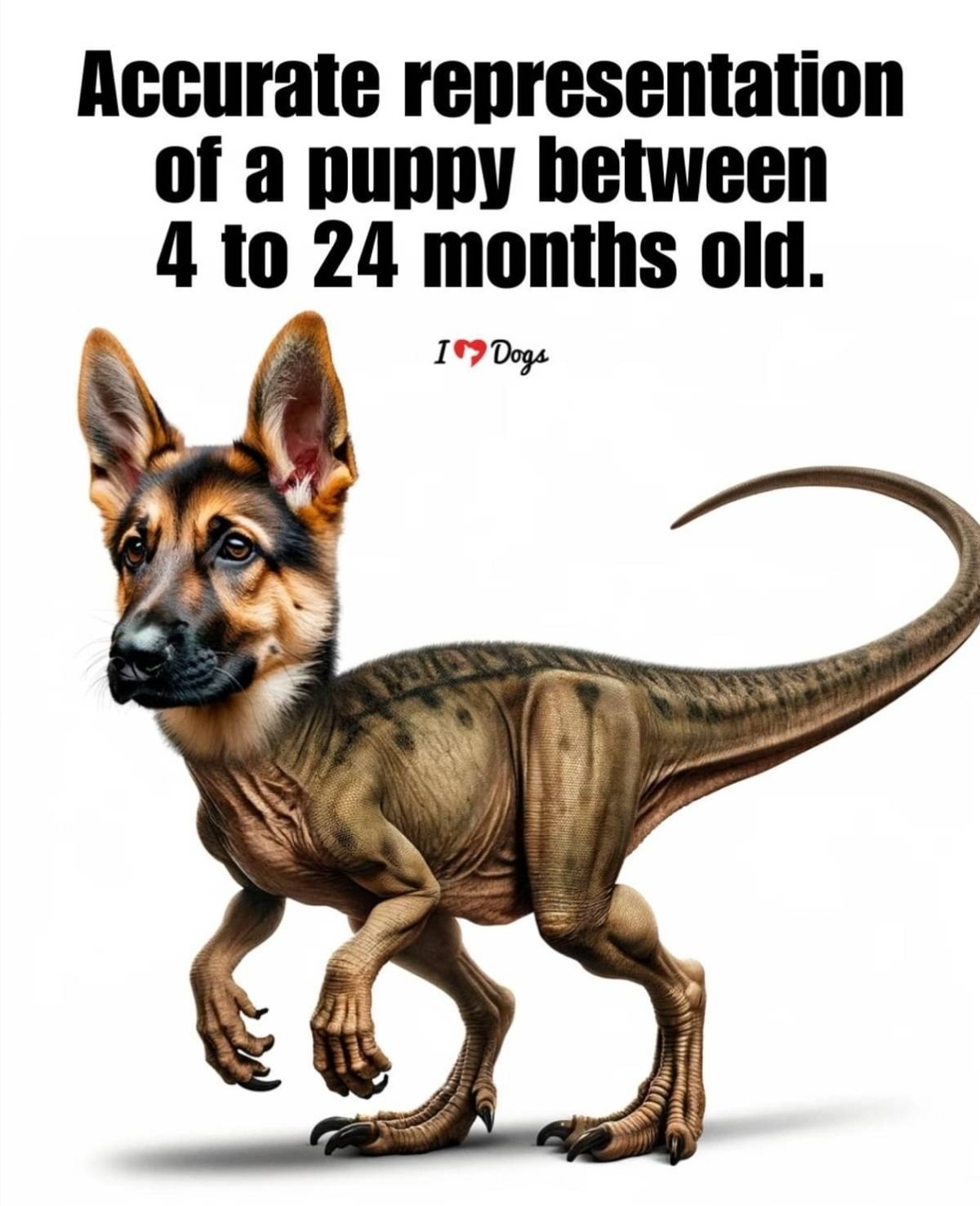 66e4f546-4d50-41a2-9902-13e564d31d15