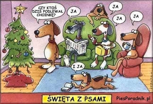 cf1b0da2-b0a0-4585-a907-d696a850289a