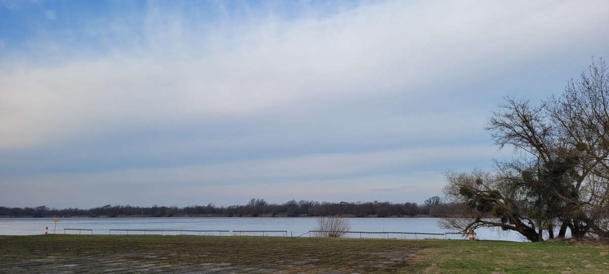 e7251299-376a-4be7-b80d-52e41fbdb398