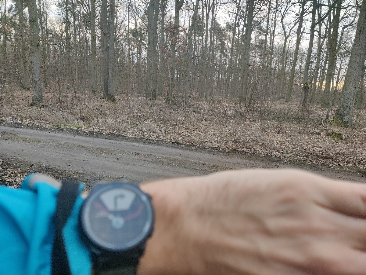 68e92a3a-1c57-474e-a4de-2b1b49e25497