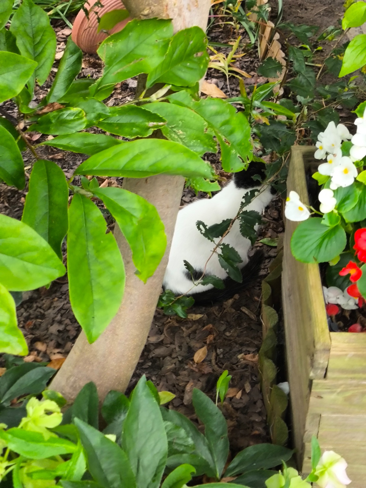 f7c03219-a5b1-4a07-9631-b03db8061d94