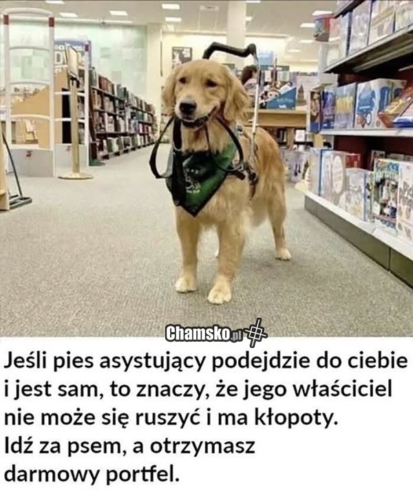 86d6a989-e433-4e75-95fe-5732e968576c