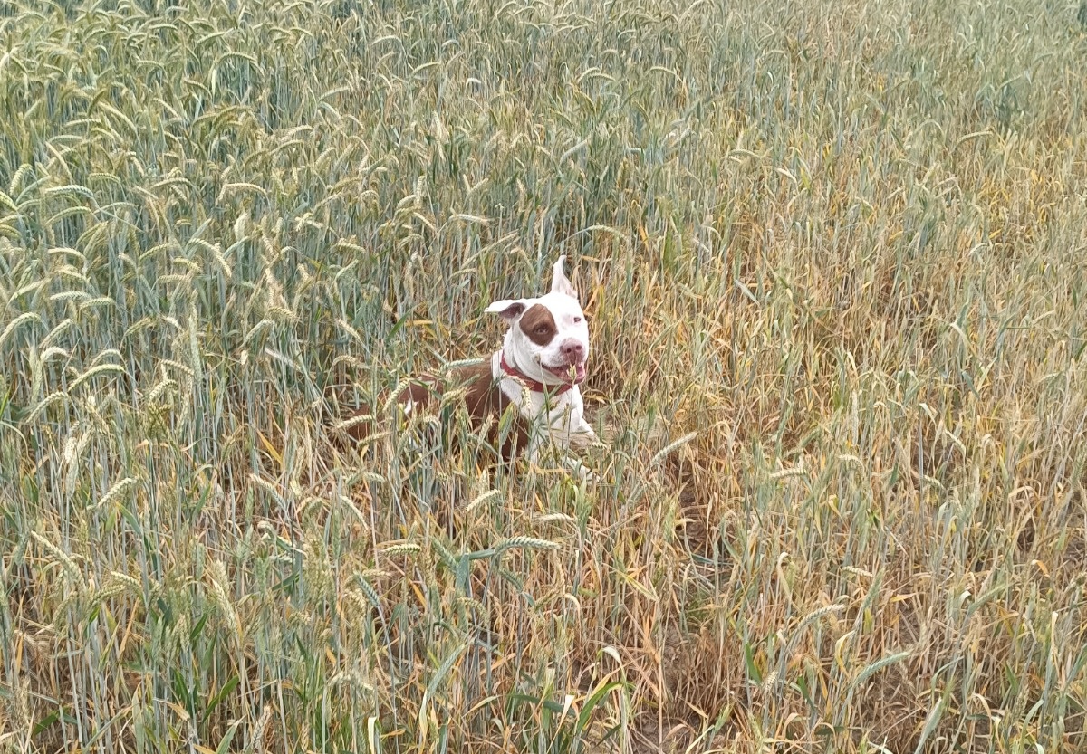 e2f5de99-cd48-44d0-b435-bb70b91ec7cb